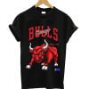 Bulls T-shirt