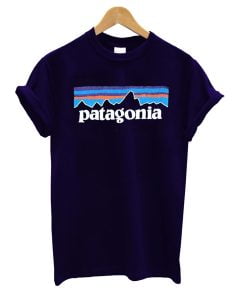 Authentic Patagonia t shirt